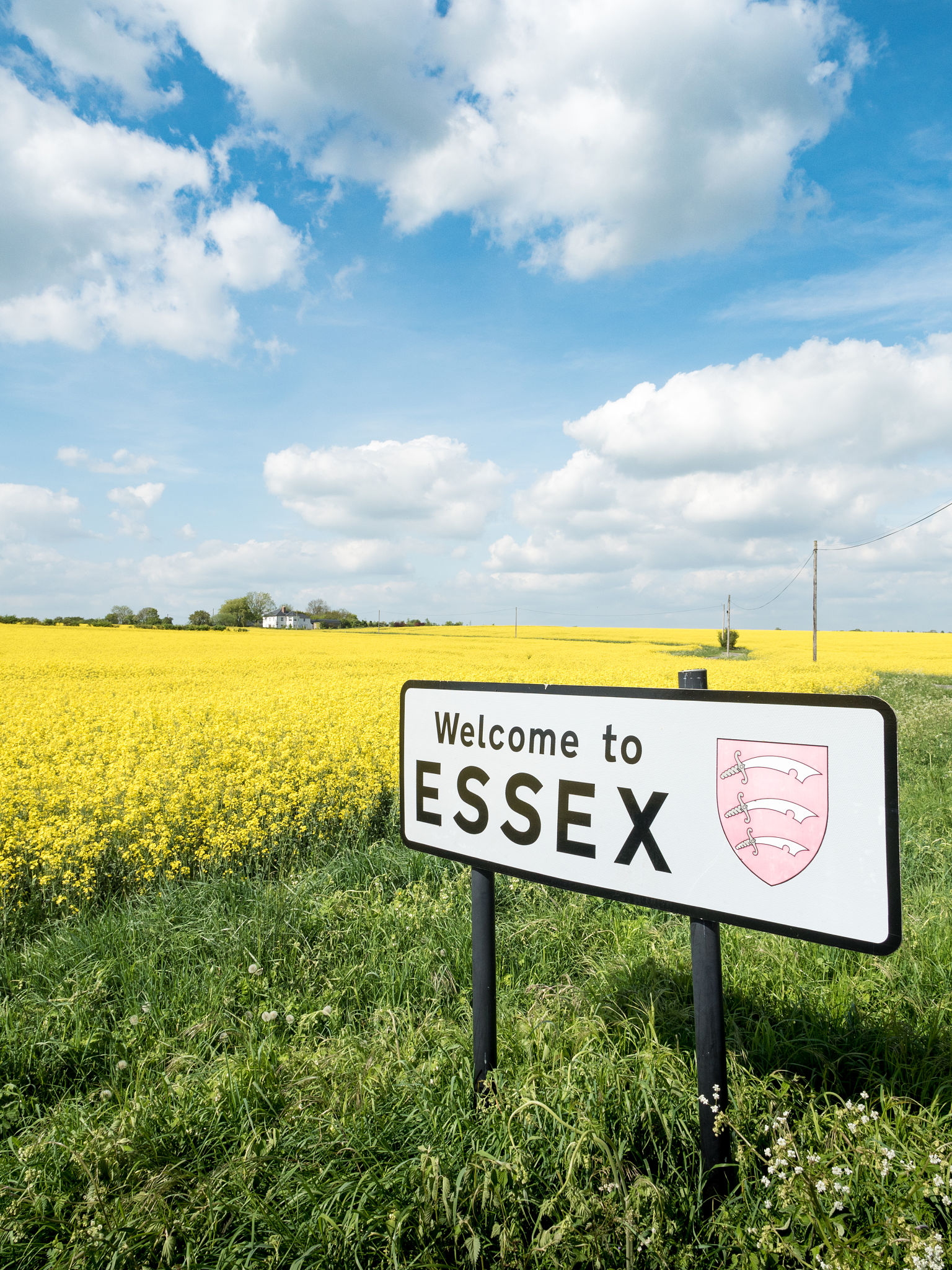 essex summer