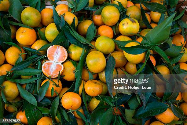 tangerines for sale at market - mandarino foto e immagini stock