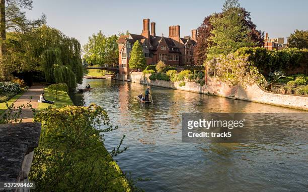punting on the river cam, cambridge, uk - cambridge england stock pictures, royalty-free photos & images