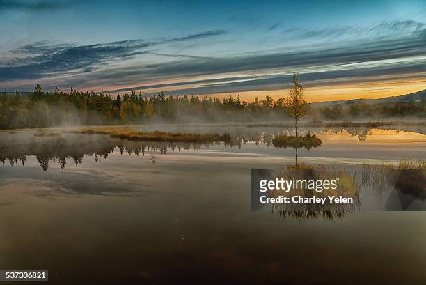 sumava national park - czech republic autumn stock pictures, royalty-free photos & images