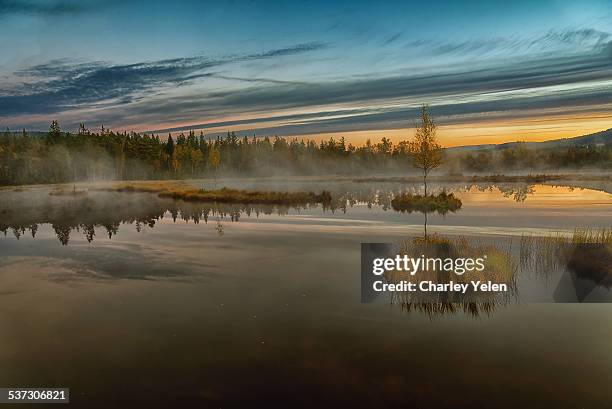 sumava national park - bog - fotografias e filmes do acervo