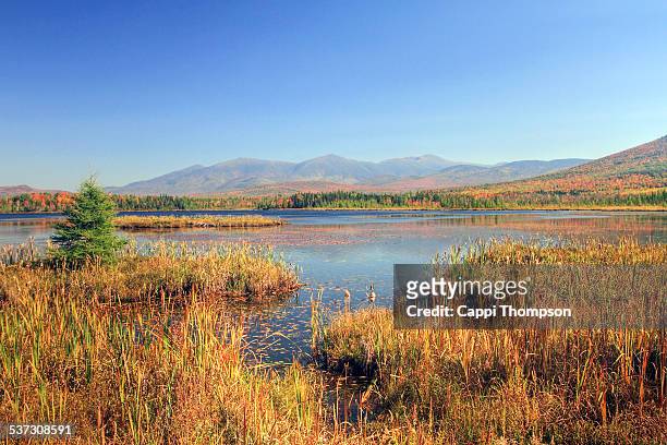 new hampshire mountain view at cherry pond - pondicherry stock pictures, royalty-free photos & images