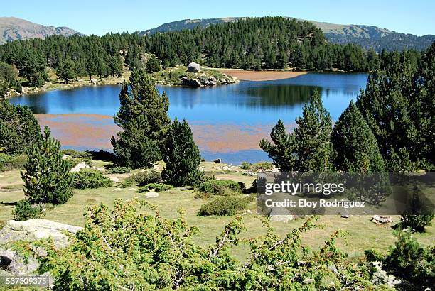 estany del viver - pirenéus orientais imagens e fotografias de stock