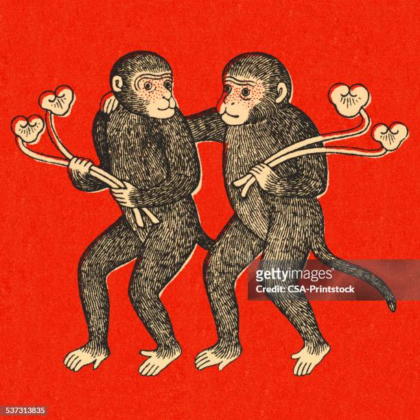 stockillustraties, clipart, cartoons en iconen met two monkeys - gorilla love 2