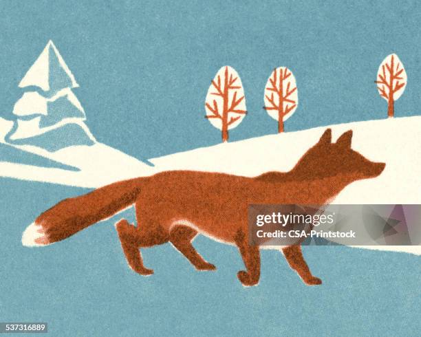 fox - winter walk stock illustrations