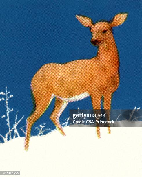 deer - winter animals stock illustrations