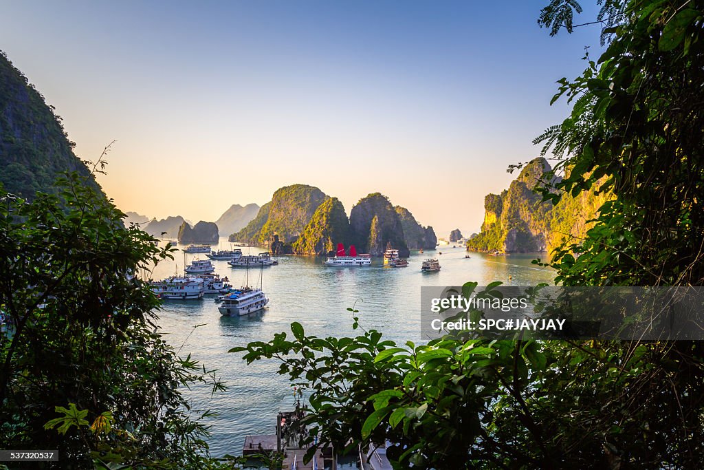 Ha Long Bay from Sung Sot Cave