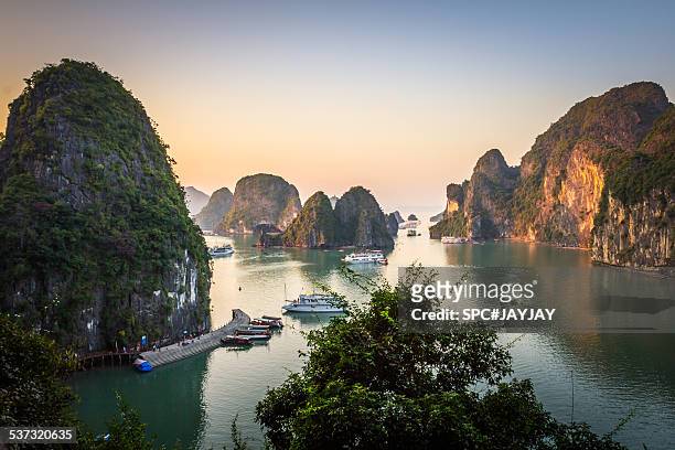 evening in ha long bay from sung sot cave - halong bay stock pictures, royalty-free photos & images