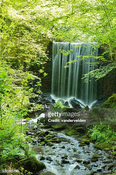 waterfall at national botanic garden of wales - national landmark stock pictures, royalty-free photos & images
