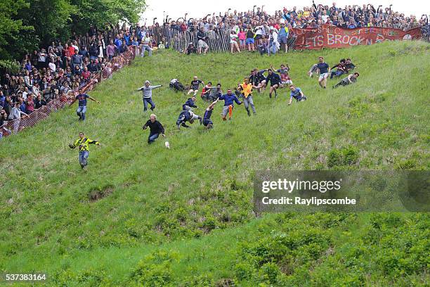 les participants mis du fromage au 2016 " cheese rolling' - cheese rolling competition photos et images de collection