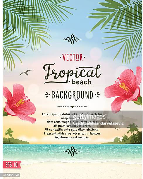tropischen strand hintergrund - insel stock-grafiken, -clipart, -cartoons und -symbole