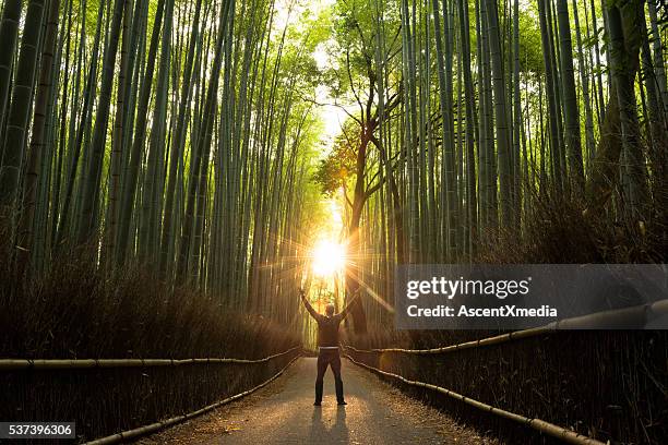 concept of success in a natural setting - bamboo forest stock pictures, royalty-free photos & images