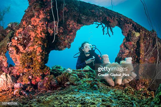 shipwreck dive - palau, micronesia - boat ruins stock pictures, royalty-free photos & images