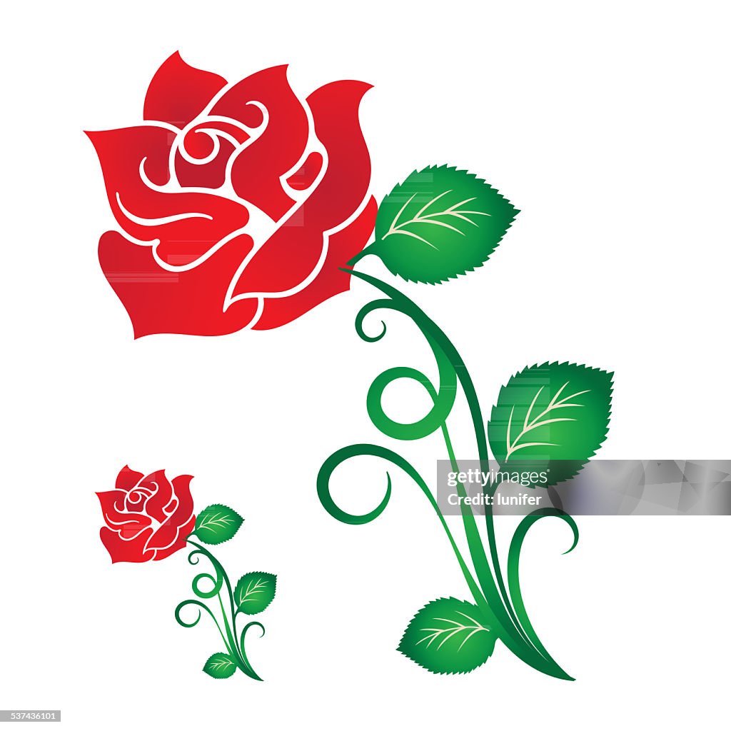 Graphic Red Roz Red Rose High-Res Vector Graphic - Getty Images