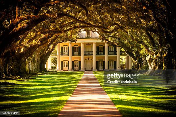 oak alley plantation house in louisiana, usa - antebellumstijl stockfoto's en -beelden
