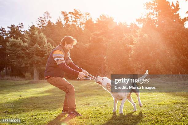 man playing tug of war with dog in park - playing stock pictures, royalty-free photos & images