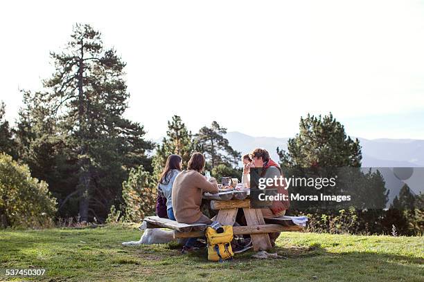 friends having breakfast at picnic table - picnic table stockfoto's en -beelden