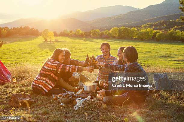 friends toasting beer bottles on field - camping outdoors stock pictures, royalty-free photos & images