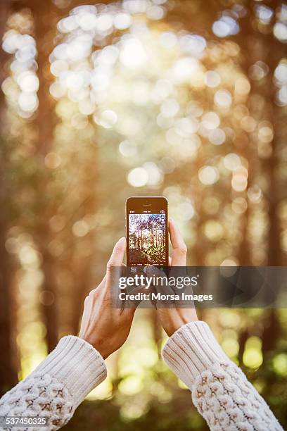 woman photographing trees through smart phone - woman smartphone nature stockfoto's en -beelden