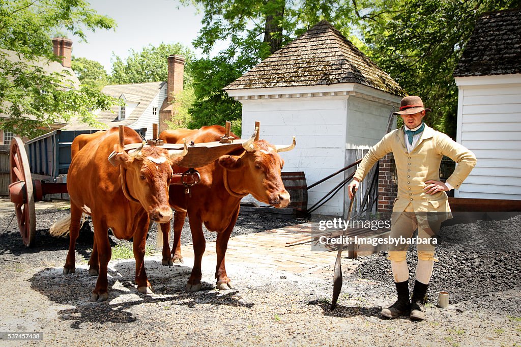 Oxen handler