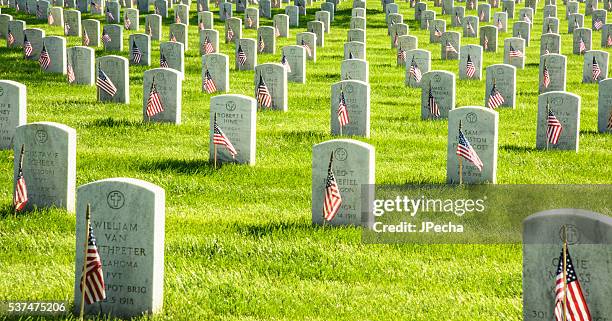 arlington national cemetery - arlington national cemetary bildbanksfoton och bilder