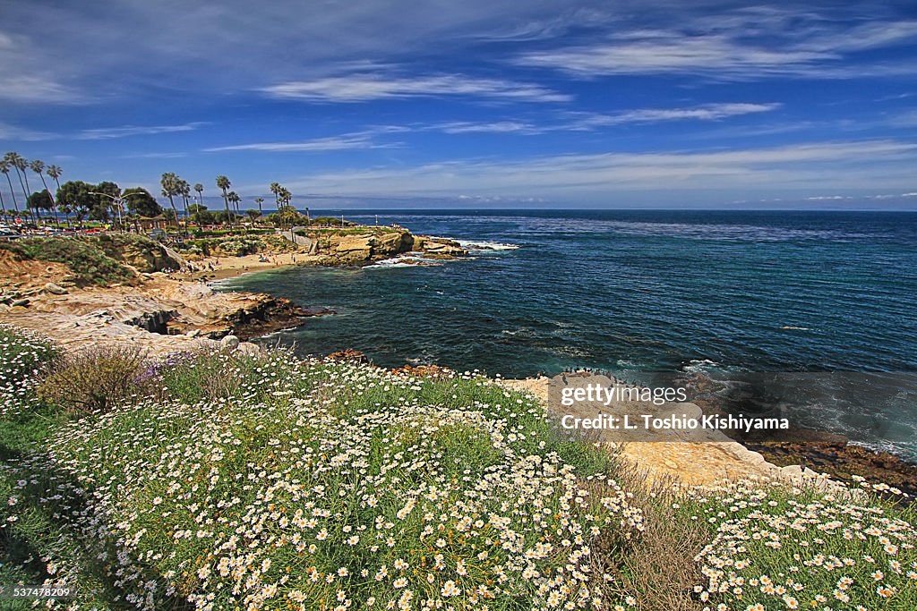 Beautiful La Jolla Cove, California