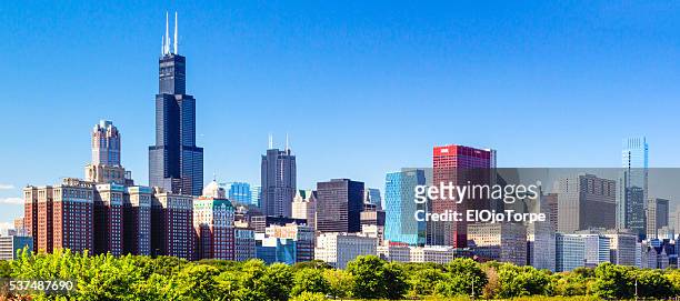 view of chicago skyline, illinois - willis tower fotografías e imágenes de stock