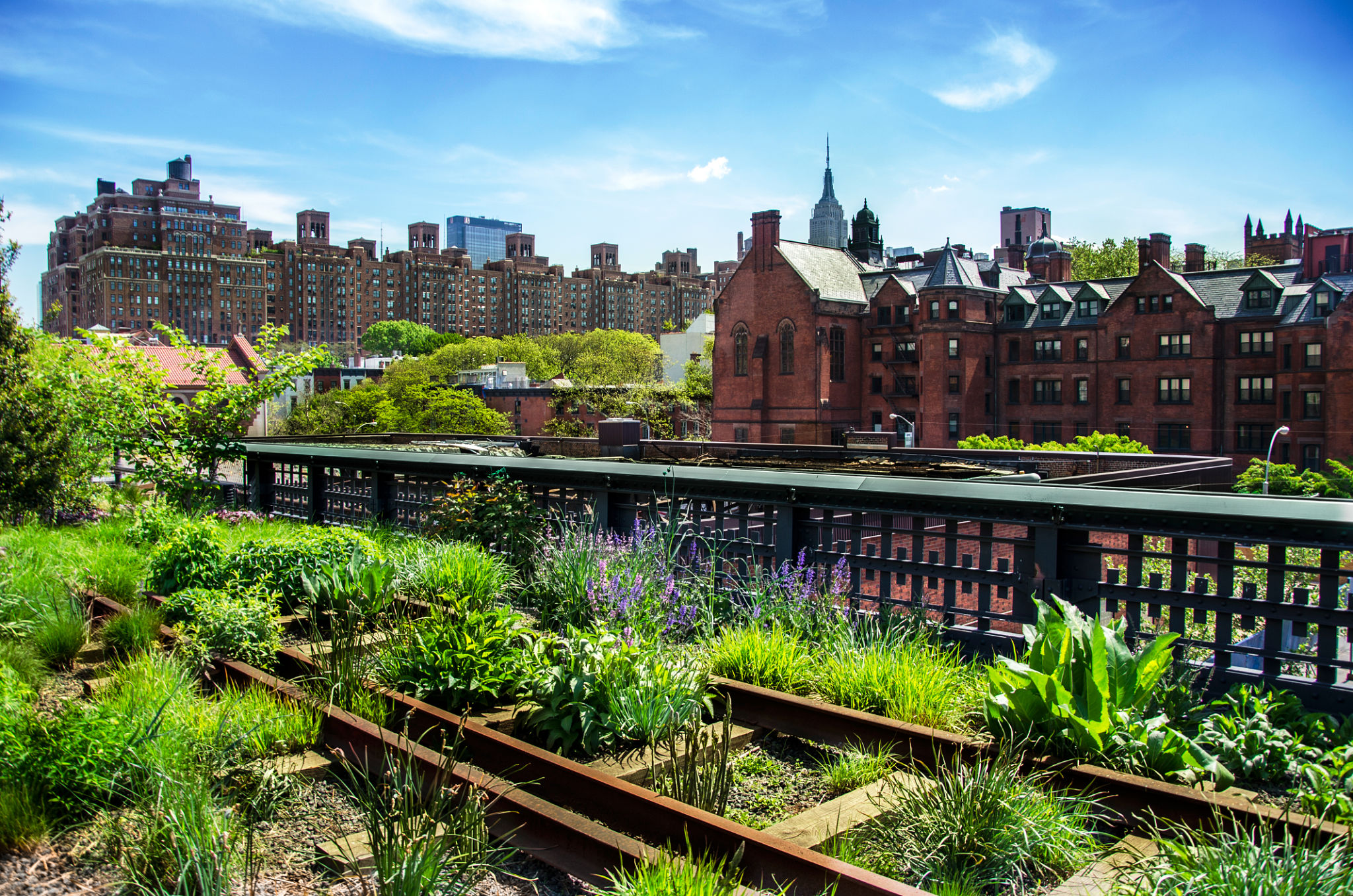 new york garden