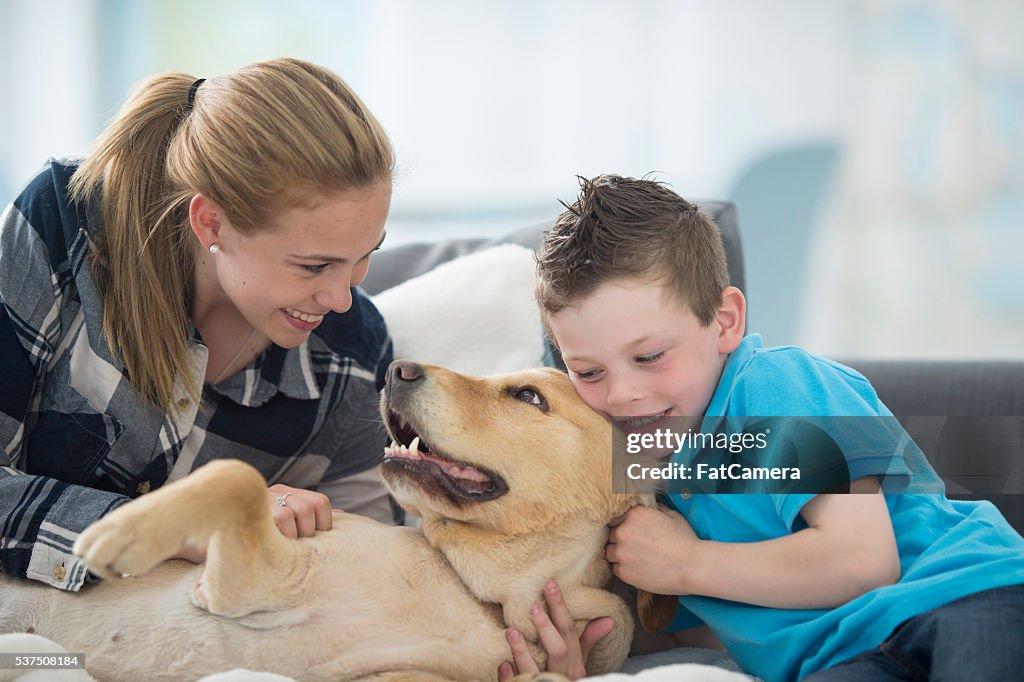 Família jogar com o cão