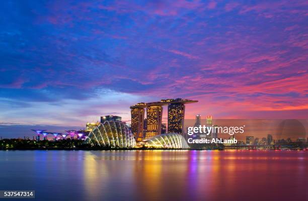 singapur skyline - gardens by the bay stock-fotos und bilder