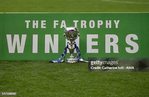 The FA Trophy"nsits infront of the winners board after The FA Trophy Final match between Grimsby Town and Halifax Town at Wembley Stadium on May 22,...