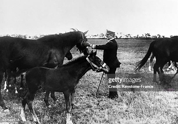 Admiral Miklos Horthy, regent of Hungary, owns a large property and a breeding of racehorses in Hungary, on September 1, 1933.
