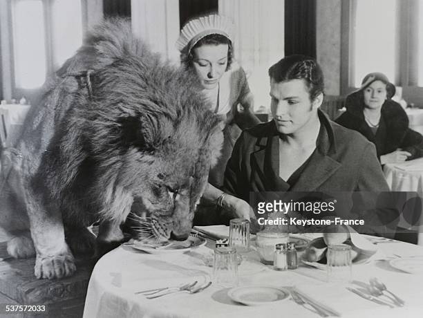 Buster Crabbe, famous actor and american tamer, lunch with Jack, one of his lions and partner in his new film, in a Hollywood restaurant on February...