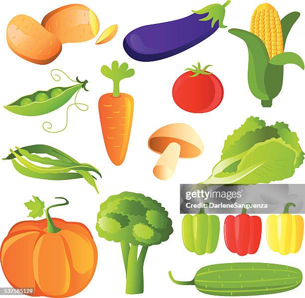 vegetables set in glossy style - bok choy stock illustrations