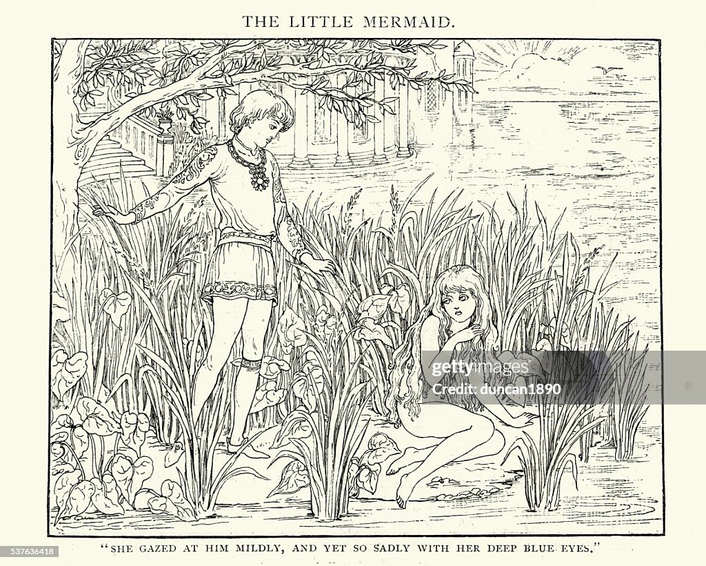The Little Mermaid She Gazed at him mildly