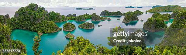 pianemo - raja ampat islands bildbanksfoton och bilder