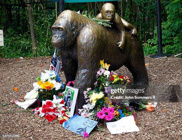Flowers lay around a bronze statue of a gorilla and her baby outside the Cincinnati Zoo's Gorilla World exhibit days after a 3-year-old boy fell into...
