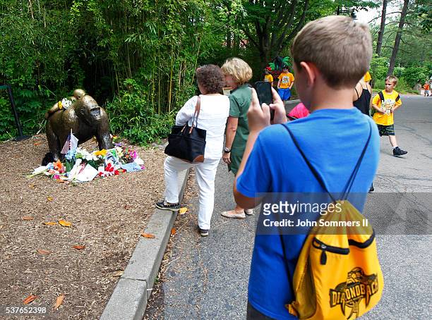 Visitors view a bronze statue of a gorilla and her baby surrounded by flowers outside the Cincinnati Zoo 's Gorilla World exhibit days after a...