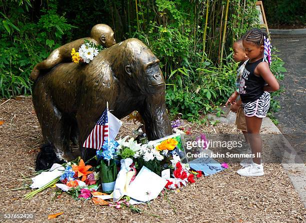 Visitors view a bronze statue of a gorilla and her baby surrounded by flowers outside the Cincinnati Zoo 's Gorilla World exhibit days after a...