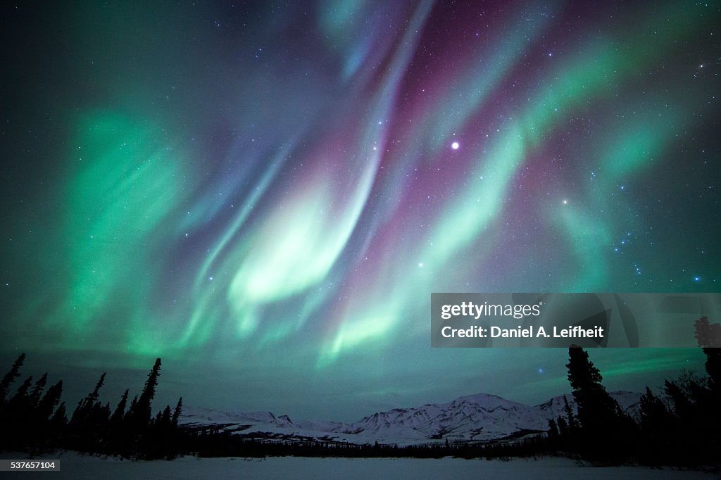 Northern Lights
