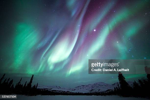 northern lights - winter wilderness stock pictures, royalty-free photos & images
