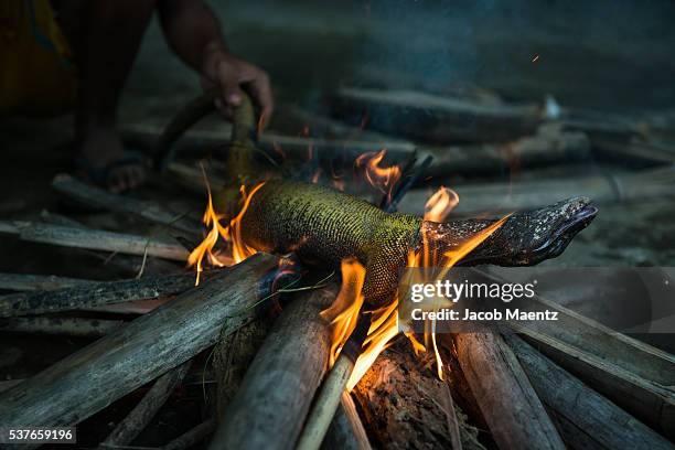 monitor lizard being cooked over an open fire. - warming up stock pictures, royalty-free photos & images