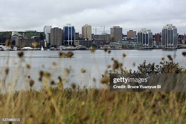 view of halifax - halifax harbour stock pictures, royalty-free photos & images