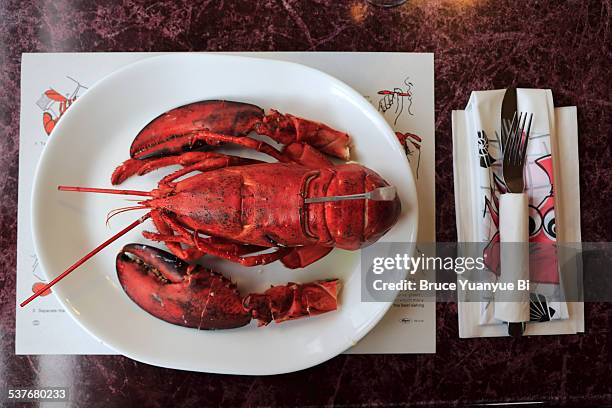 atlantic lobster served in restaurant - lobster seafood stock pictures, royalty-free photos & images