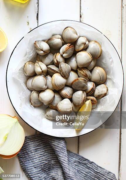 clams - clams stock pictures, royalty-free photos & images