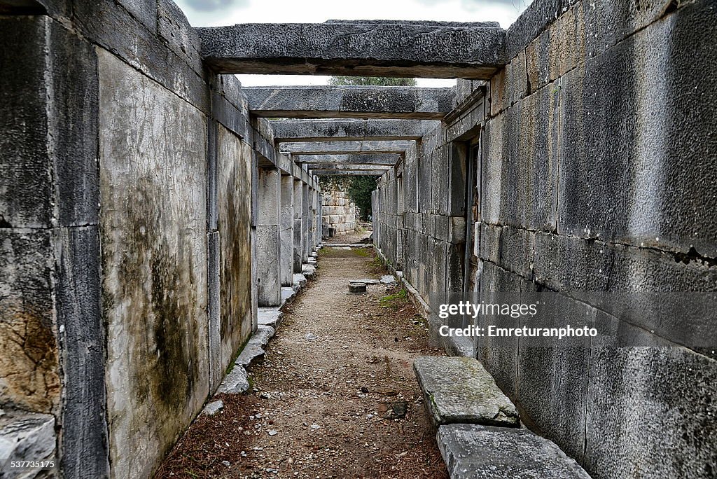 Theater stage walls, Priene