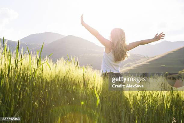 young beautiful woman with hands raised in the wheat field - arms raised stock pictures, royalty-free photos & images