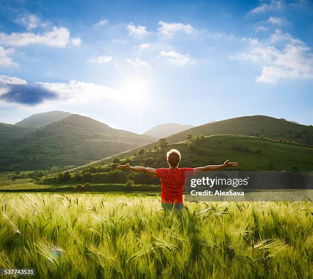 uomo con le braccia spalancate in un campo di grano - arms open foto e immagini stock