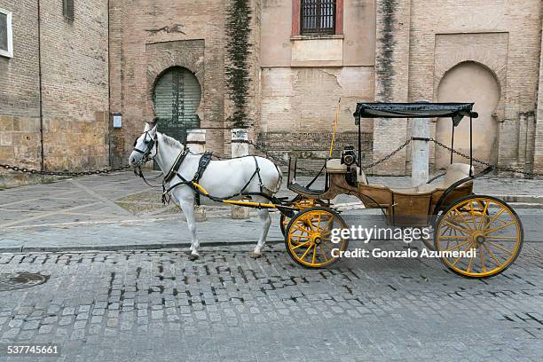 traditional carriage in seville - horsedrawn bildbanksfoton och bilder