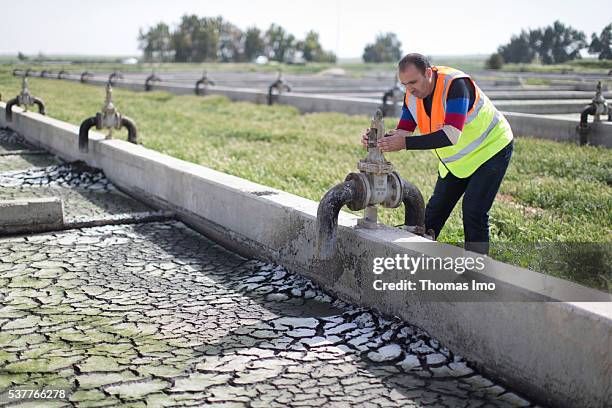 Madaba, Jordan A Worker is checking a supply pipe of a sludge drying bed in a sewage treatment plant on April 06, 2016 in Madaba, Jordan.